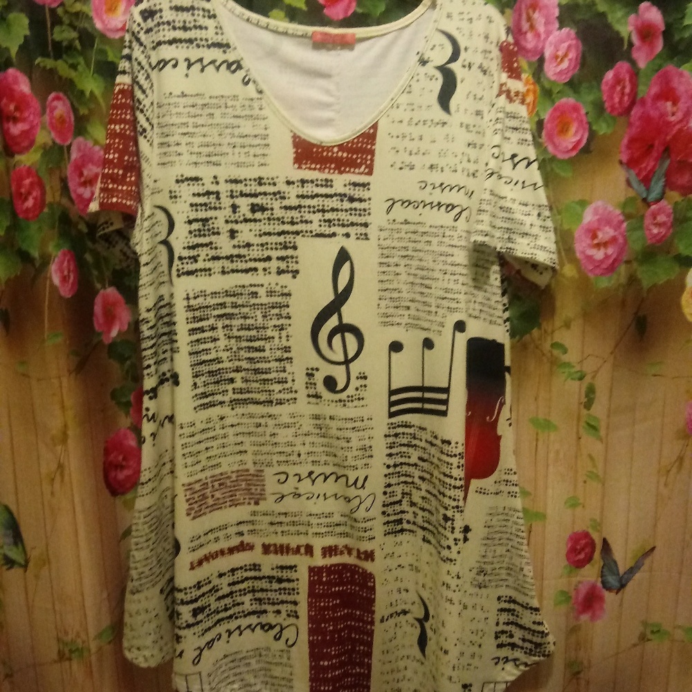 Womens Tunic 1X